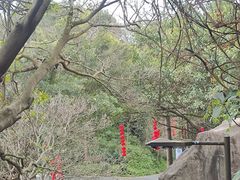 -广州市白云山风景名胜区