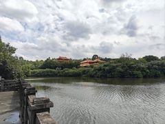 -三水森林公园