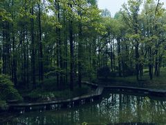 -杭州植物园