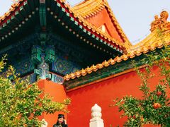 -故宫博物院(故宫)