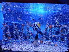 -太平洋海底世界