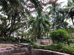 -三亚珠江南田温泉度假区