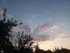 -维乐口腔医院(星海湾分院)