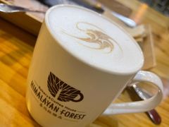 -喜马拉雅森HIMALAYAN FOREST