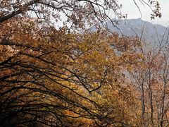 -秦岭终南山世界地质公园翠华山景区