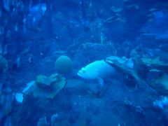 -成都浩海立方海洋公园