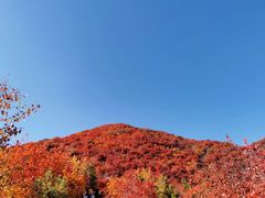 -周口店坡峰岭风景区
