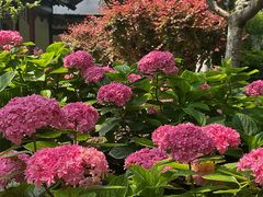 -常州古运河南大街文化旅游区-人民公园