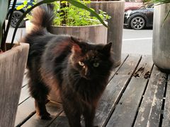 -argangKaffe(宝庆路店)