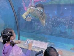 -苏州海洋馆