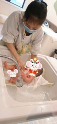 -重庆安琪儿妇产医院-妇幼保健联盟医院