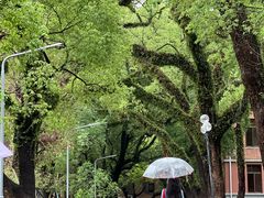 -中山大学广州校区南校园怀士堂