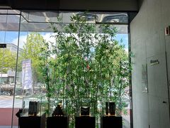 -新紫霞养生·影院足道·SPA(金山区店)