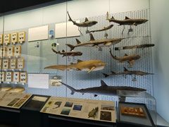 -浙江自然博物院(杭州馆)
