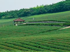 -宜兴龙背山森林公园