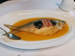 陈年花雕蒸鲥鱼-福1088