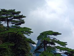 -三清山风景名胜区