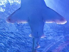 -多彩贵州城极地海洋世界