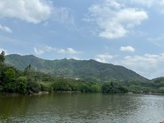 -深圳仙湖植物园
