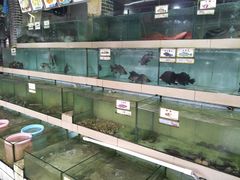 -海上驿站渔家菜馆