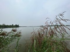 -野鸭湖国家湿地公园