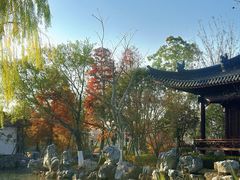 -江心屿景区