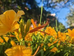 -清华大学玉泉医院