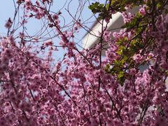 -睦南公园