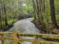 -桤木河湿地公园