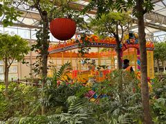 -南宫五洲植物乐园