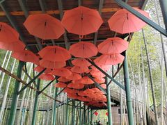 -陶祖圣境风景区