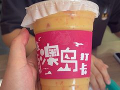 -南澳岛打卡果汁冰公司