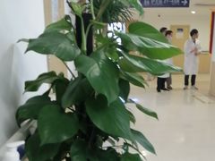 -上海市第四人民医院