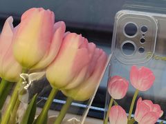 -循礼门鲜花花市(武汉循礼门店)