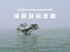-宝安西湾红树林湿地公园