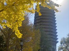 -玲珑塔公园