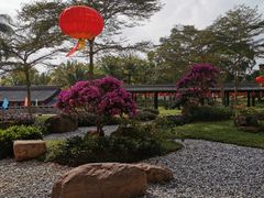 -海南文笔峰盘古文化旅游区