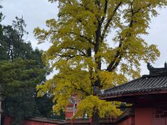 -金堂县云顶石城风景区