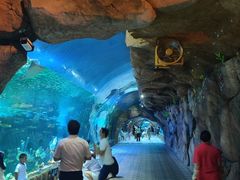 -华夏文旅海洋公园