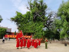 -大槐树寻根祭祖园