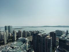 -柴犬小屋·柴餐厅·狗咖食堂(金鼎广场店)