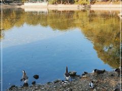 -石家庄市动物园