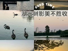 -虎丘湿地公园