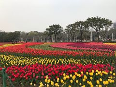 -大宁公园