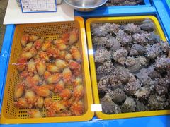 -西归浦每天偶来市场