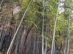 -天目湖涵田半山温泉