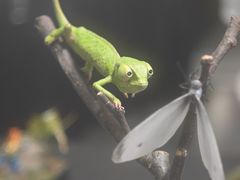 -上海跨国采购会展中心
