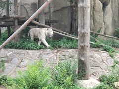 -北京海洋馆