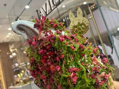 -GODIVA(万象城店)