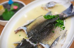 Ancient Method Steamed Cloud Tuna Fish